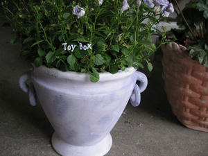 2009512e.jpg