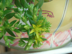 2009512g.jpg