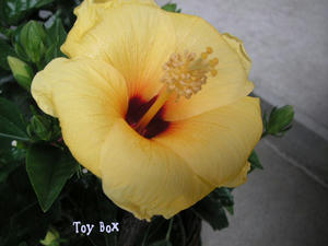 2009516c.jpg