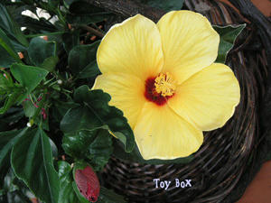 2009521c.jpg