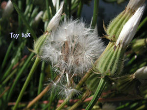 20090601e.jpg