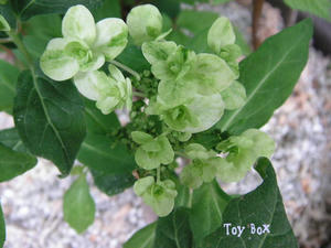 20090604a.jpg