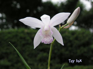 20090605.jpg