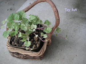 20090606f.jpg