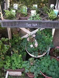 20090608c.jpg