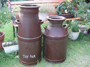 20090615t.jpg