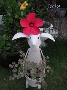 20090615f.jpg