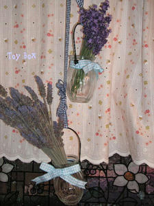 20090615p.jpg