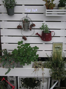 20090621d.jpg