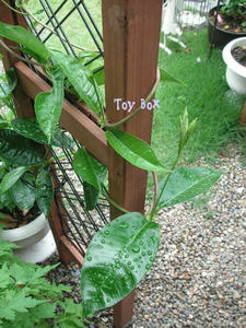 20090624i.jpg