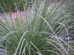 20090614d.jpg