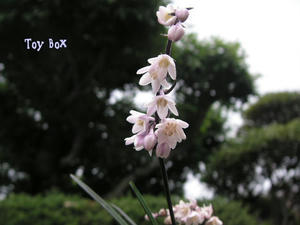 20090624f.jpg