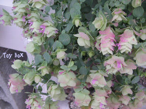 20090703a.jpg