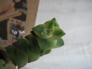 20090704.jpg