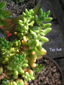 20090704h.jpg