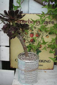 20090711h.jpg