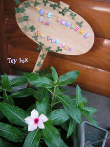 20090715b.jpg