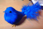 bluebird.jpg