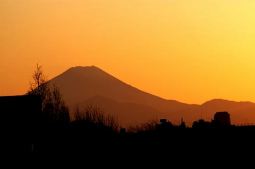 fuji.jpg