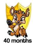 40