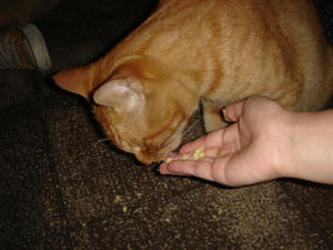 DSC0eee2486.JPG