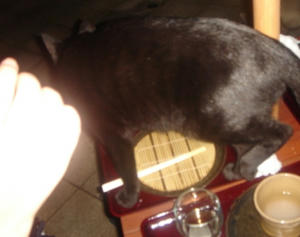 DSCdddd00835.JPG