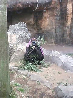 110403_114654.JPG