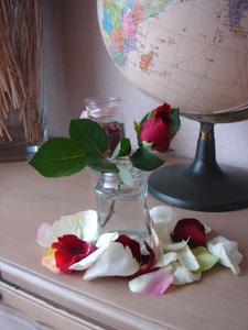 DSC03150.jpg