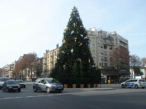 DSC03383.jpg