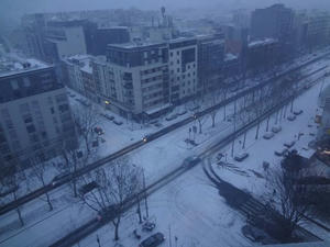 DSC00008.jpg