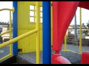 steadieNewtype.gif