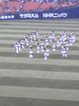 チア競演