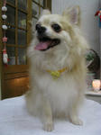 826d0799.jpg