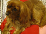 5d2768f4.jpg
