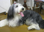7867ff58.jpg