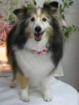 32257e76.jpg