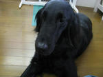 0b61084c.jpg