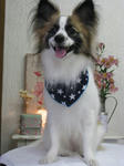 a4bd4566.jpg