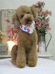 c97628d3.jpg