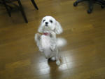 b30b9373.jpg