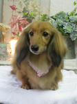 122406b8.jpg