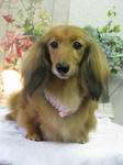 1205450e.jpg