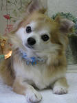 a93627e6.jpg
