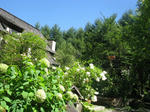42e5800e.jpg