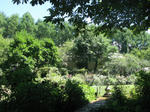 11a167d1.jpg