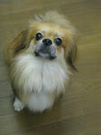 fcf88221.jpg