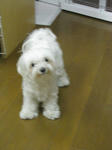 3b0228f7.jpg