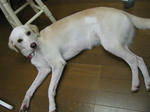 0808ccf6.jpg