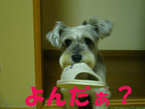 よんだ？