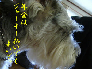年金問題